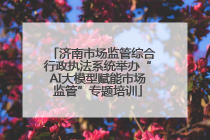 济南市场监管综合行政执法系统举办“AI大模型赋能市场监管”专题培训