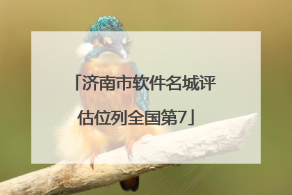济南市软件名城评估位列全国第7