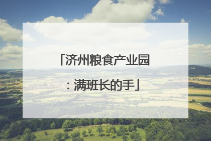 济州粮食产业园：满班长的手