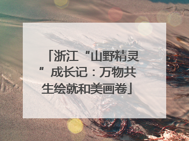 浙江“山野精灵”成长记：万物共生绘就和美画卷