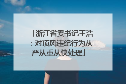 浙江省委书记王浩：对顶风违纪行为从严从重从快处理
