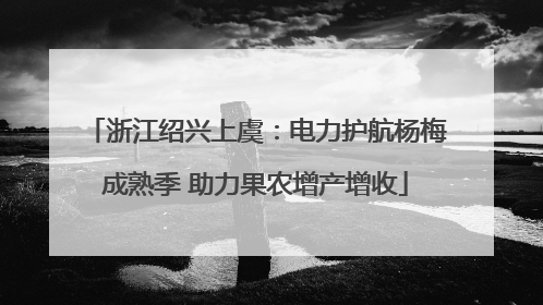 浙江绍兴上虞：电力护航杨梅成熟季 助力果农增产增收