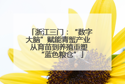 浙江三门：“数字大脑”赋能青蟹产业 从育苗到养殖重塑“蓝色粮仓”