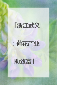 浙江武义：荷花产业助致富