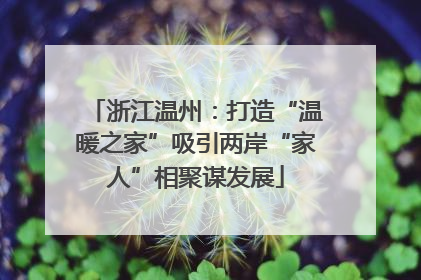 浙江温州：打造“温暖之家”吸引两岸“家人”相聚谋发展