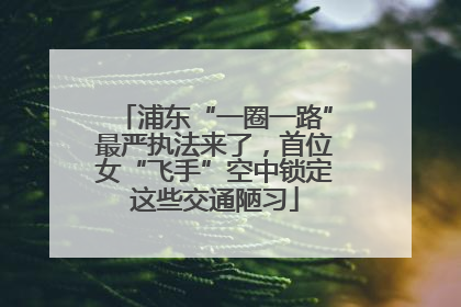 浦东“一圈一路”最严执法来了，首位女“飞手”空中锁定这些交通陋习