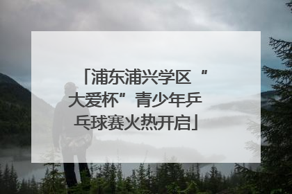 浦东浦兴学区“大爱杯”青少年乒乓球赛火热开启