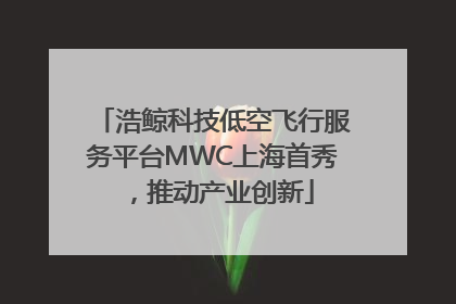 浩鲸科技低空飞行服务平台MWC上海首秀，推动产业创新
