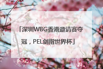 深圳WBG香港邀请赛夺冠，PEL剑指世界杯