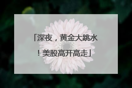 深夜，黄金大跳水！美股高开高走