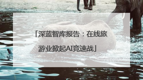 深蓝智库报告：在线旅游业掀起AI竞速战