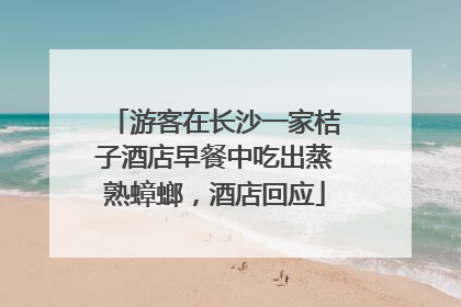 游客在长沙一家桔子酒店早餐中吃出蒸熟蟑螂，酒店回应