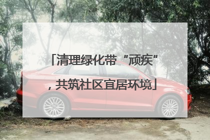 清理绿化带“顽疾”，共筑社区宜居环境
