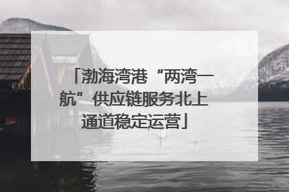 渤海湾港“两湾一航”供应链服务北上通道稳定运营