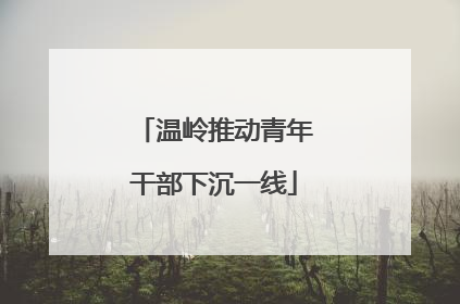 温岭推动青年干部下沉一线
