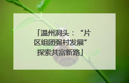 温州洞头：“片区组团强村发展”探索共富新路