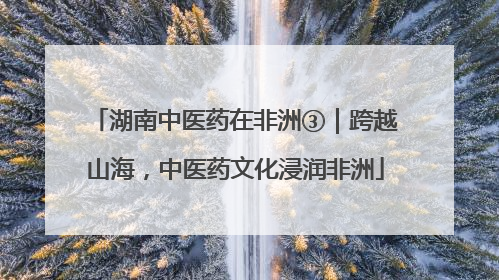 湖南中医药在非洲③｜跨越山海，中医药文化浸润非洲