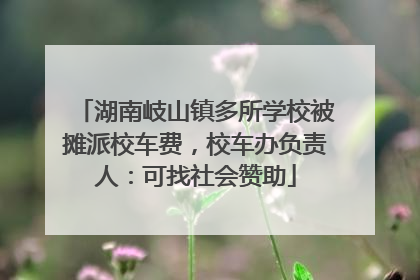 湖南岐山镇多所学校被摊派校车费，校车办负责人：可找社会赞助