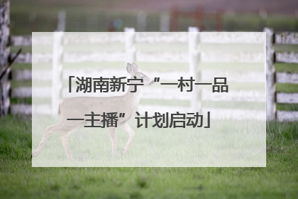 湖南新宁“一村一品一主播”计划启动