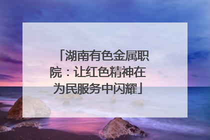 湖南有色金属职院：让红色精神在为民服务中闪耀