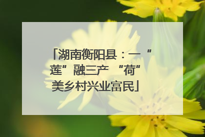 湖南衡阳县：一“莲”融三产 “荷”美乡村兴业富民