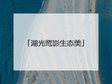 湖光鹭影生态美