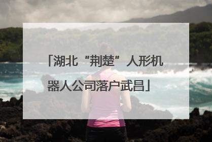 湖北“荆楚”人形机器人公司落户武昌