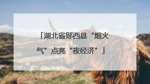 湖北省郧西县“烟火气”点亮“夜经济”