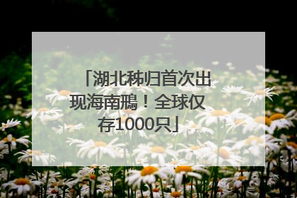 湖北秭归首次出现海南鳽！全球仅存1000只
