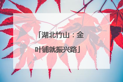 湖北竹山：金叶铺就振兴路