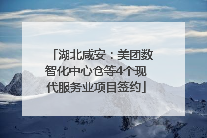 湖北咸安：美团数智化中心仓等4个现代服务业项目签约