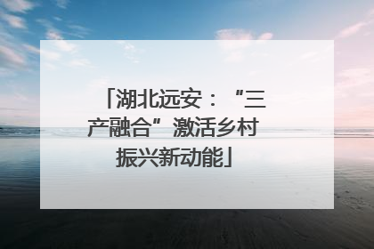 湖北远安：“三产融合”激活乡村振兴新动能