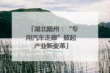 湖北随州：“专用汽车走廊”掀起产业新变革