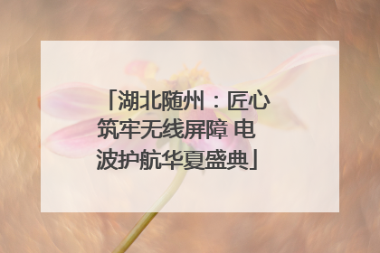 湖北随州：匠心筑牢无线屏障 电波护航华夏盛典