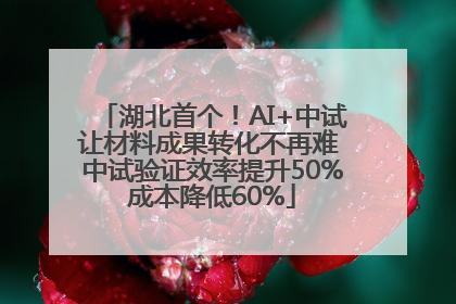湖北首个！AI+中试让材料成果转化不再难 中试验证效率提升50%成本降低60%