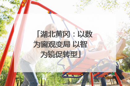 湖北黄冈：以数为窗观变局 以智为镜促转型