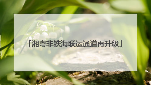 湘粤非铁海联运通道再升级