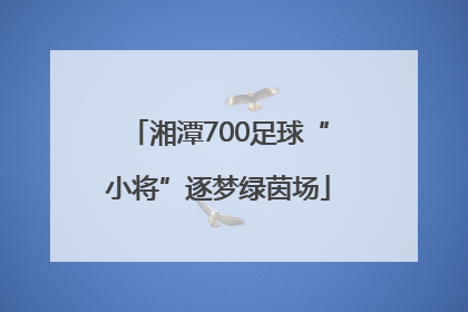 湘潭700足球“小将”逐梦绿茵场