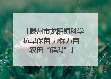 滕州市龙阳镇科学抗旱保苗 力保万亩农田“解渴”