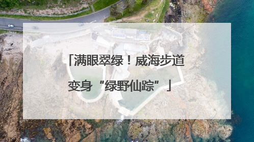 满眼翠绿！威海步道变身“绿野仙踪”