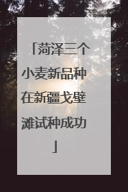 菏泽三个小麦新品种在新疆戈壁滩试种成功