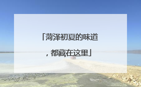 菏泽初夏的味道，都藏在这里