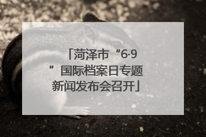 菏泽市“6·9”国际档案日专题新闻发布会召开