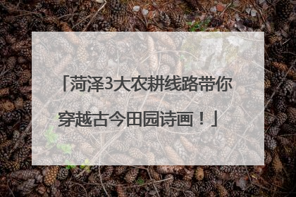 菏泽3大农耕线路带你穿越古今田园诗画！
