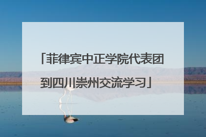 菲律宾中正学院代表团到四川崇州交流学习