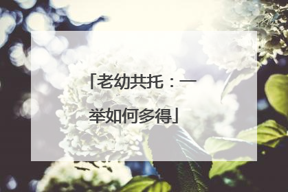 老幼共托：一举如何多得