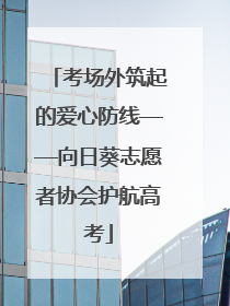 考场外筑起的爱心防线——向日葵志愿者协会护航高考