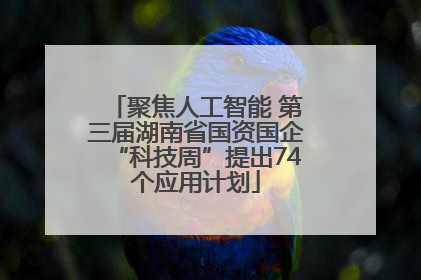 聚焦人工智能 第三届湖南省国资国企“科技周”提出74个应用计划