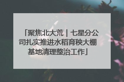 聚焦北大荒｜七星分公司扎实推进水稻育秧大棚基地清理整治工作