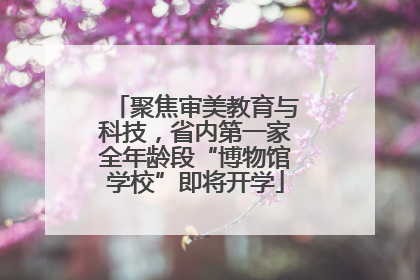 聚焦审美教育与科技，省内第一家全年龄段“博物馆学校”即将开学